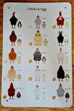 Load image into Gallery viewer, Metal sign - Chicks &amp; Eggs
