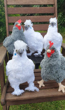 Load image into Gallery viewer, Plush chickens
