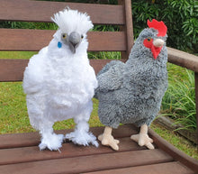 Load image into Gallery viewer, Plush chickens
